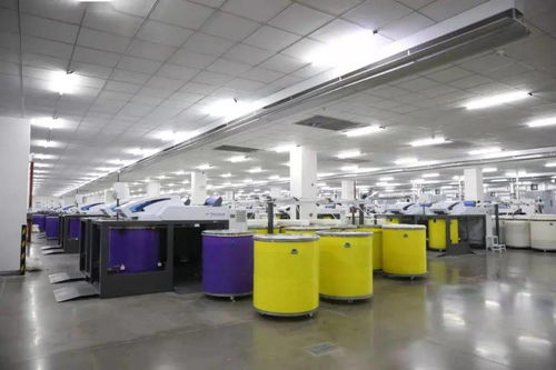 天之華集團獲授國家渦流紡紗線產品開發基地，推動紡織產業創新升級