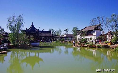 超浪漫 盤點(diǎn)深圳23個約會圣地,在這里每天都是情人節(jié)